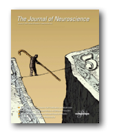 jneuro_cover