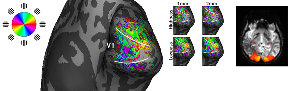 DECODING ORIENTATION AND MOTION