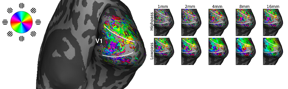 DECODING ORIENTATION AND MOTION